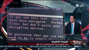 وليد حجاج صائد الهاكرز على قناة الغد – برنامج ساعة من مصر – 28 يونيو 2017 – انتشار الرانسموير